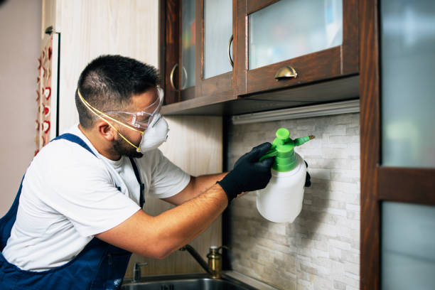 Best Emergency Pest Control  in Tahoe Vista, CA
