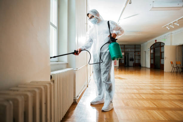 Trusted Tahoe Vista, CA Pest Control Experts